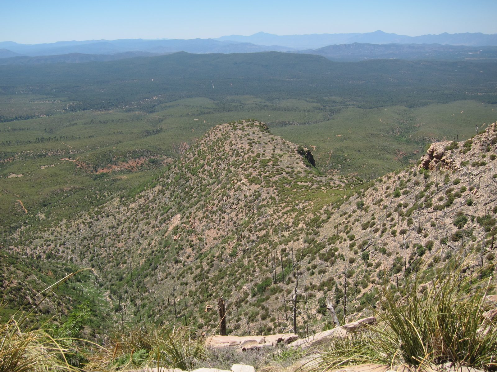 Makes me realize why all the Geology Schools are out west ... it's where the geology is fascinating.
